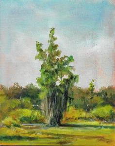 fine art -America