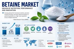 Betaine Market