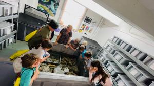 A group of students observe remnants from a shipwreck contained in a large nautical tank.