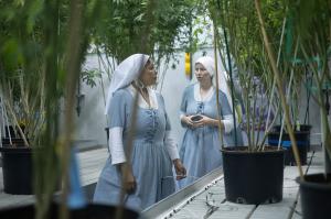 Two sisters walking through a room of cannabis plants.