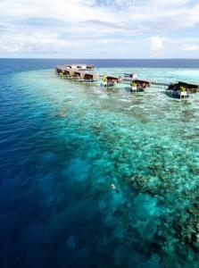 Park Hyatt Maldives Hadahaa offers some of the Maldives' most rewarding snorkeling and diving experiences just moments from the beach and villa