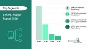Enhertu Market Report 2026 Segments
