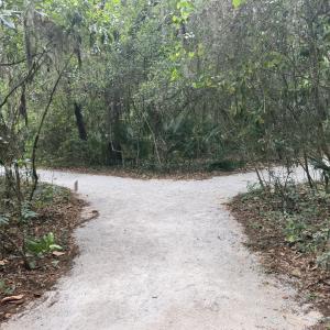 The Florida State Parks Foundation and Athletic Brewing Company partnered to provide a new crushed coquina walkway on the Flight to Freedom Trail that will help expand accessibility at Fort Mose Historic State Park in St. Augustine.
