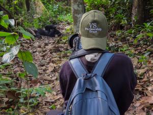 VSPT Researchers in the Field Monitoring Chimpanzees