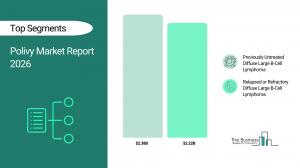 Polivy Market Report 2026 Segments