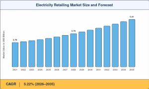 Electricity Retailing Market Summary