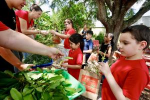 Elementary students receiving the distributed fresh produce to take home.