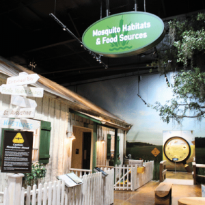 Indoor exhibit on mosquito habitats and food sources with wooden signs, a white picket fence, and informational displays.