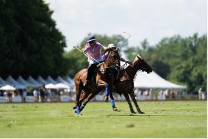 Polo Action (Photo Credit: Greenwich Polo Club)