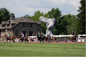 Atmosphere (Photo Credit: Greenwich Polo Club)