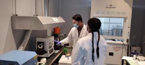 Developing USA workforce
