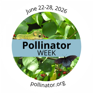 A circular logo with a spicebush swallowtail caterpillar and adult butterfly wrapped with text saying Pollinator Week June 22-28, 2026 and pollinator.org