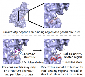 ICLR_bioactivity_prediction_model