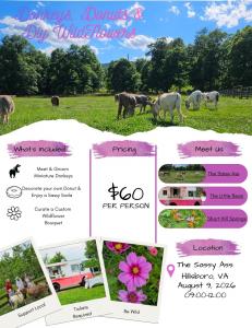 Donkeys, Donuts and DIY Wildflower flyer