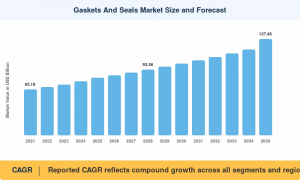 Gaskets and Seals Market1