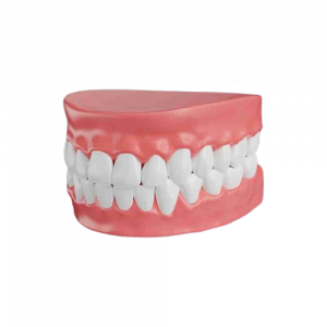 Dentures