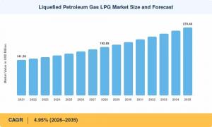 LPG Market Size