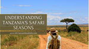 Vacation travel tips for booking Tanzania safaris