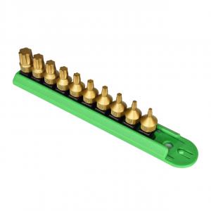 10 Piece TORX PLUS® Bit Set