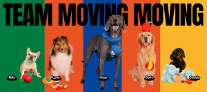 A colorful Team Moving graphic featuring five dogs named Milo, Lumi, Rook, Solly and Doodle posed with MOVING MOVING toys against green, orange, blue and yellow backgrounds.
