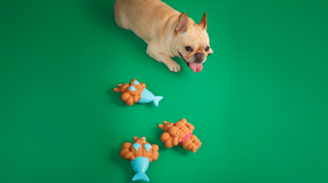 A dog plays with MOVING MOVING’s Mighty Bunny Tough Chew Squeaky Toy, part of the brand’s debut collection.