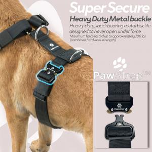 Amazon product infographics photography for a dog harness