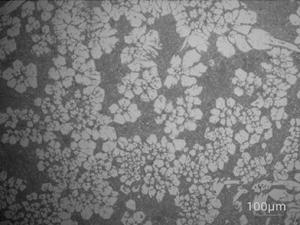 HISAN Primary Chromium Carbide Microstructure