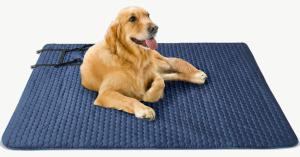Outdoor Accessories for Pets