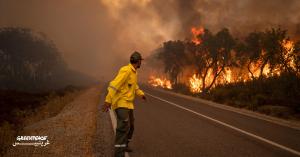 Fires 2026