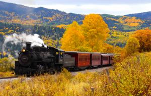 An historic steam engine numbered 488 travels through golden fall foliage with red passenger cars marked Cumbres & Toltec Scenic Railroad.
