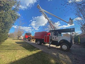 Grant Brothers Tree Service in Vienna VA