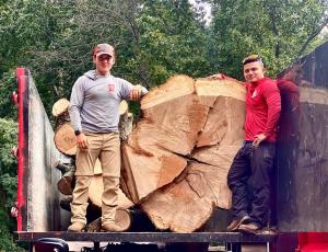 Grant Brothers Tree Service in Fairfax County VA