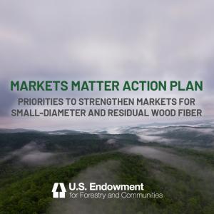 Graphic with a photo of a forest with fog and text overlayed: Markets Matter Action Plan, priorities to strengthen markets for small-diameter and residual wood fiber.