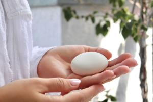 cremation stones with dog ashes