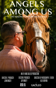Angels Among Us - The Healing Power of Racehorses