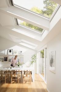 Natural Light Skylights
