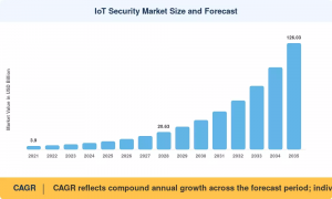 IoT Security Market Size