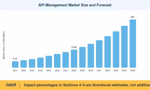 API Management Market Size