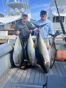 Angler Jason Bailey and charter guest display trophy size yellowfin tuna caught on a recent Cabo San Lucas fishing charter