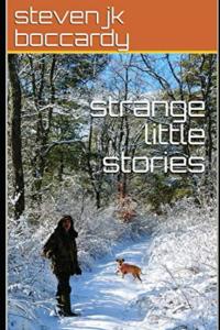 strange little stories by steven jk boccardy