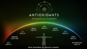 Dentulu Health antioxidant infographic illustrating potential wellness support for gut, immune, cardiovascular, brain, skin, bone, eye, joint, and metabolic health. Nuskin, Prysm io