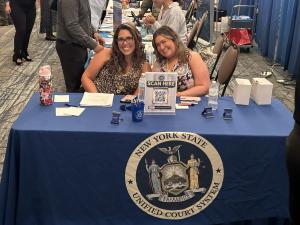 NYS Unified Courts