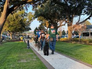 Canine Revolution Dog Training team walks a pack of leashed dogs through a tree-lined park in Summerville, SC