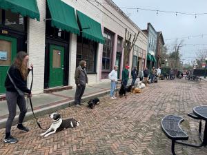 Best Dog Trainer 2026 Canine Revolution clients practice public access reliability in downtown Summerville, SC