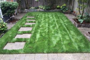 Lawn Care New Evergreen Landscape LLC