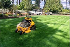 Lawn Service New Evergreen Landscape LLC