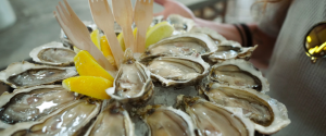 Fernwayer guides travelers through the flavors of Basque country with expert-led tours designed around long culinary traditions, including tastings of cheese, seafood and chocolate.
