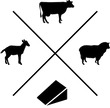 Formaticum Logo