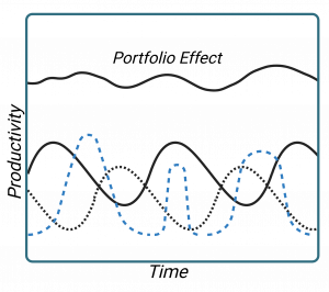 A visual representation of a portfolio effect along an X and Y axis.