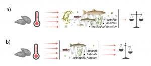 A visual representation of how a buffering effect can have a stabilizing, or balancing, effect on an ecosystem when that ecosystem is diverse.